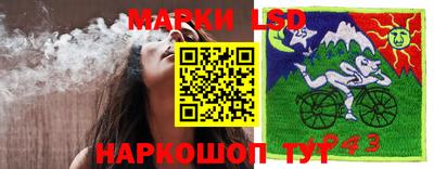 крисы Рузаевка